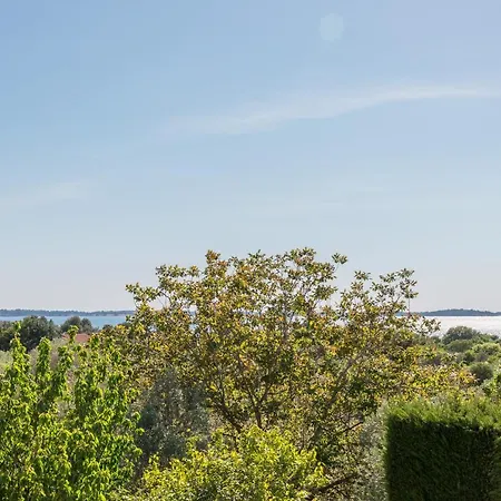 Polion Nyaraló Peroj